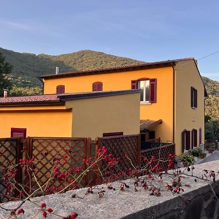 B&B La Fucinaia Pet Friendly Adults Only Campiglia Marittima Kültér fotó