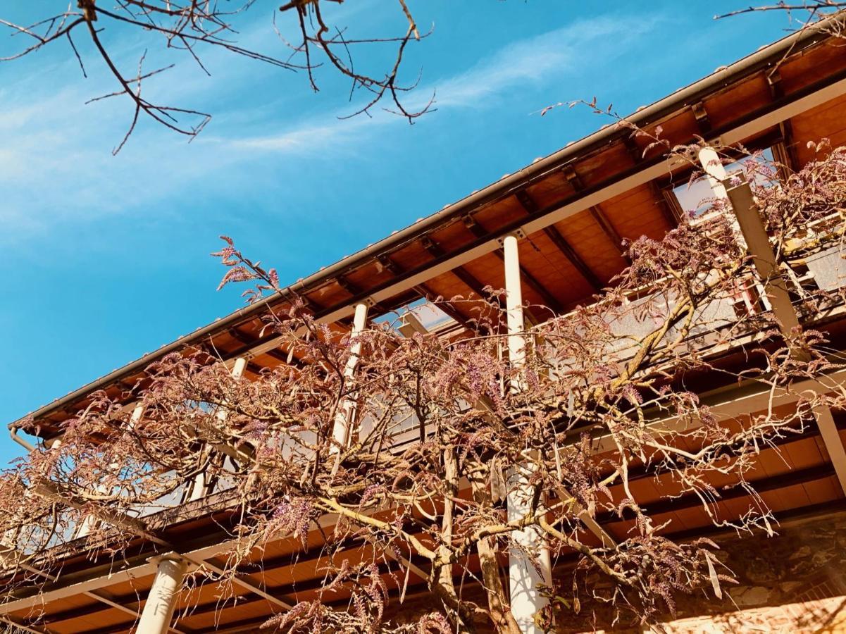 B&B La Fucinaia Pet Friendly Adults Only Campiglia Marittima Kültér fotó