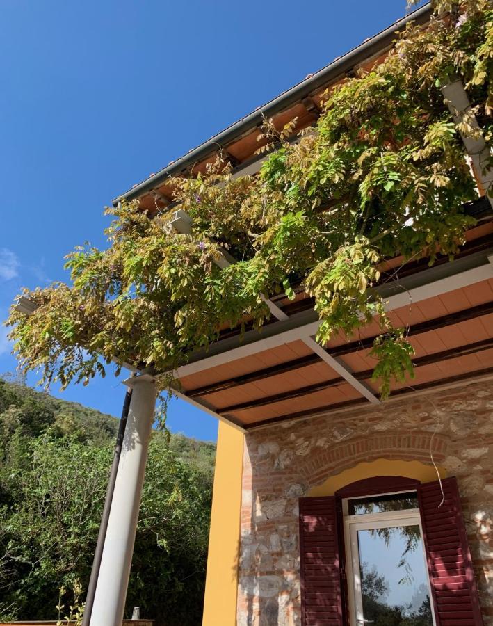 B&B La Fucinaia Pet Friendly Adults Only Campiglia Marittima Kültér fotó