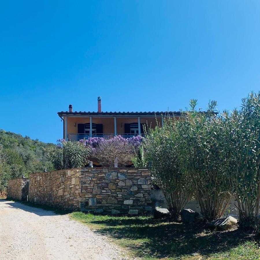 B&B La Fucinaia Pet Friendly Adults Only Campiglia Marittima Kültér fotó