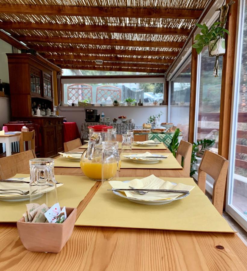 B&B La Fucinaia Pet Friendly Adults Only Campiglia Marittima Kültér fotó