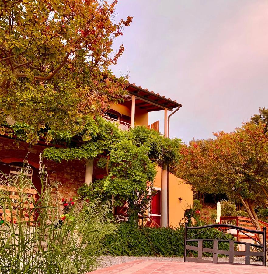 B&B La Fucinaia Pet Friendly Adults Only Campiglia Marittima Kültér fotó