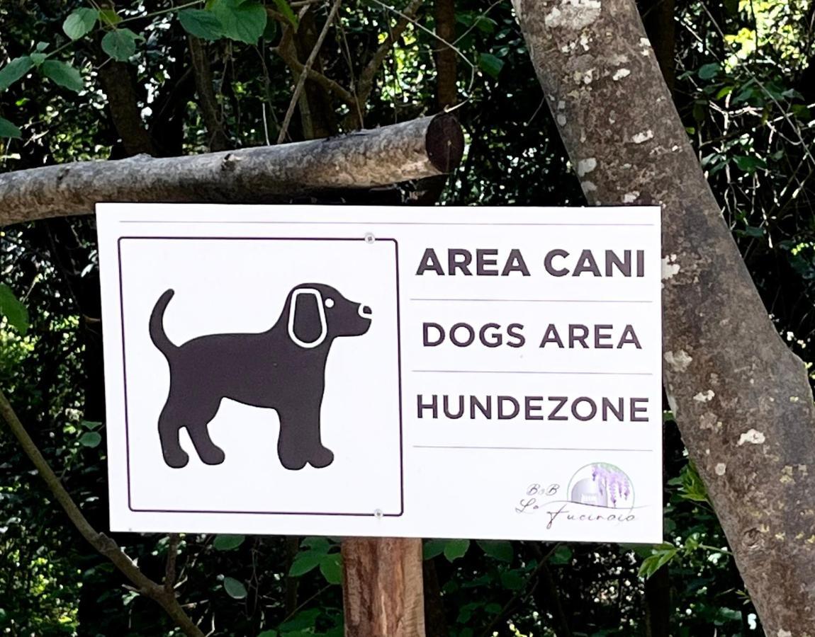 B&B La Fucinaia Pet Friendly Adults Only Campiglia Marittima Kültér fotó