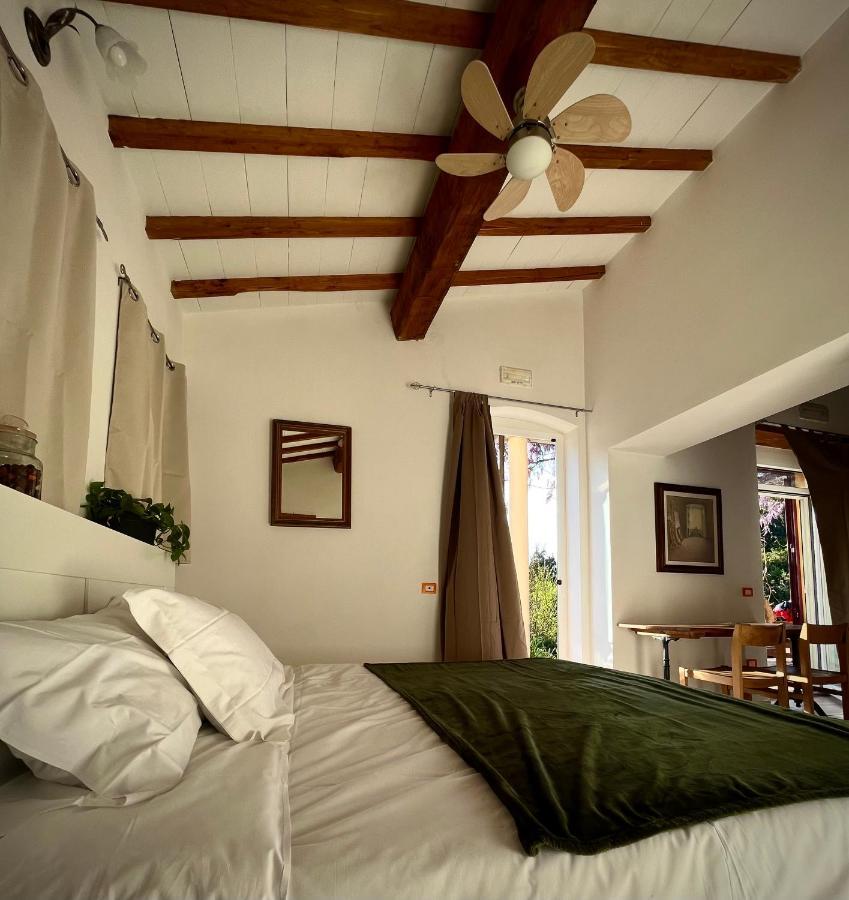 B&B La Fucinaia Pet Friendly Adults Only Campiglia Marittima Kültér fotó