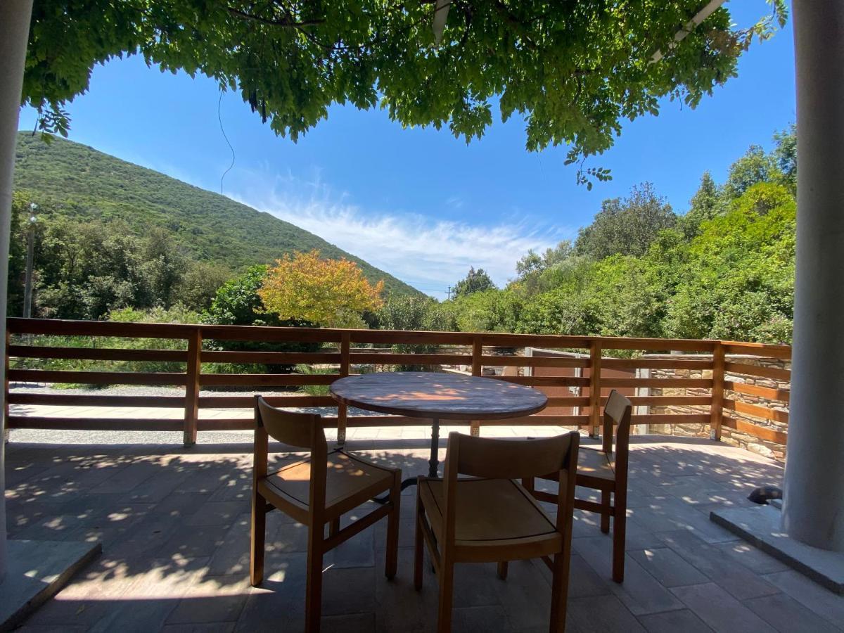 B&B La Fucinaia Pet Friendly Adults Only Campiglia Marittima Kültér fotó