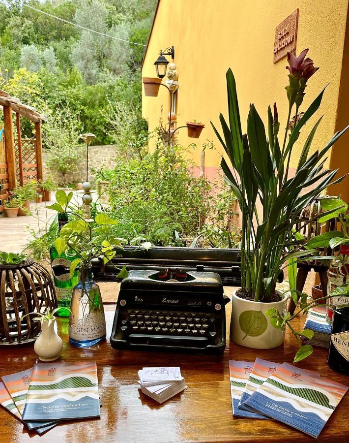 B&B La Fucinaia Pet Friendly Adults Only Campiglia Marittima Kültér fotó