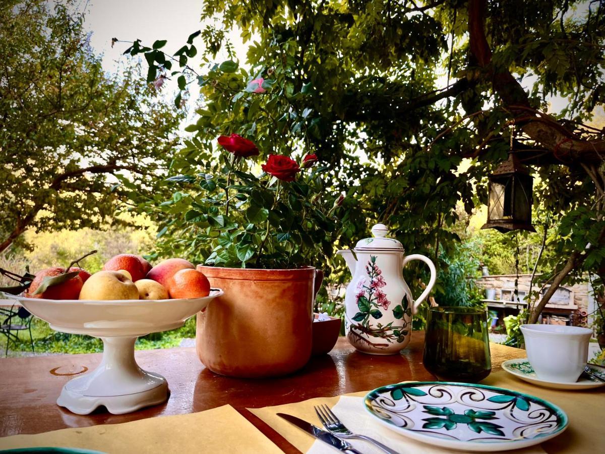 B&B La Fucinaia Pet Friendly Adults Only Campiglia Marittima Kültér fotó