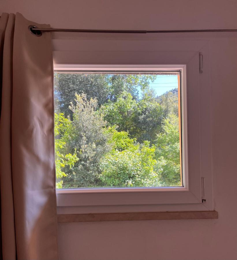 B&B La Fucinaia Pet Friendly Adults Only Campiglia Marittima Kültér fotó