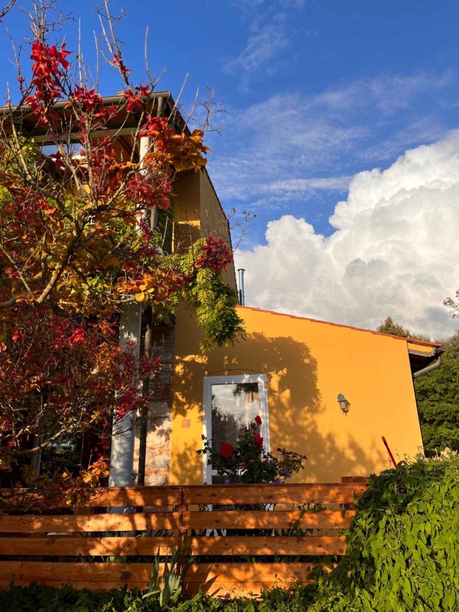 B&B La Fucinaia Pet Friendly Adults Only Campiglia Marittima Kültér fotó