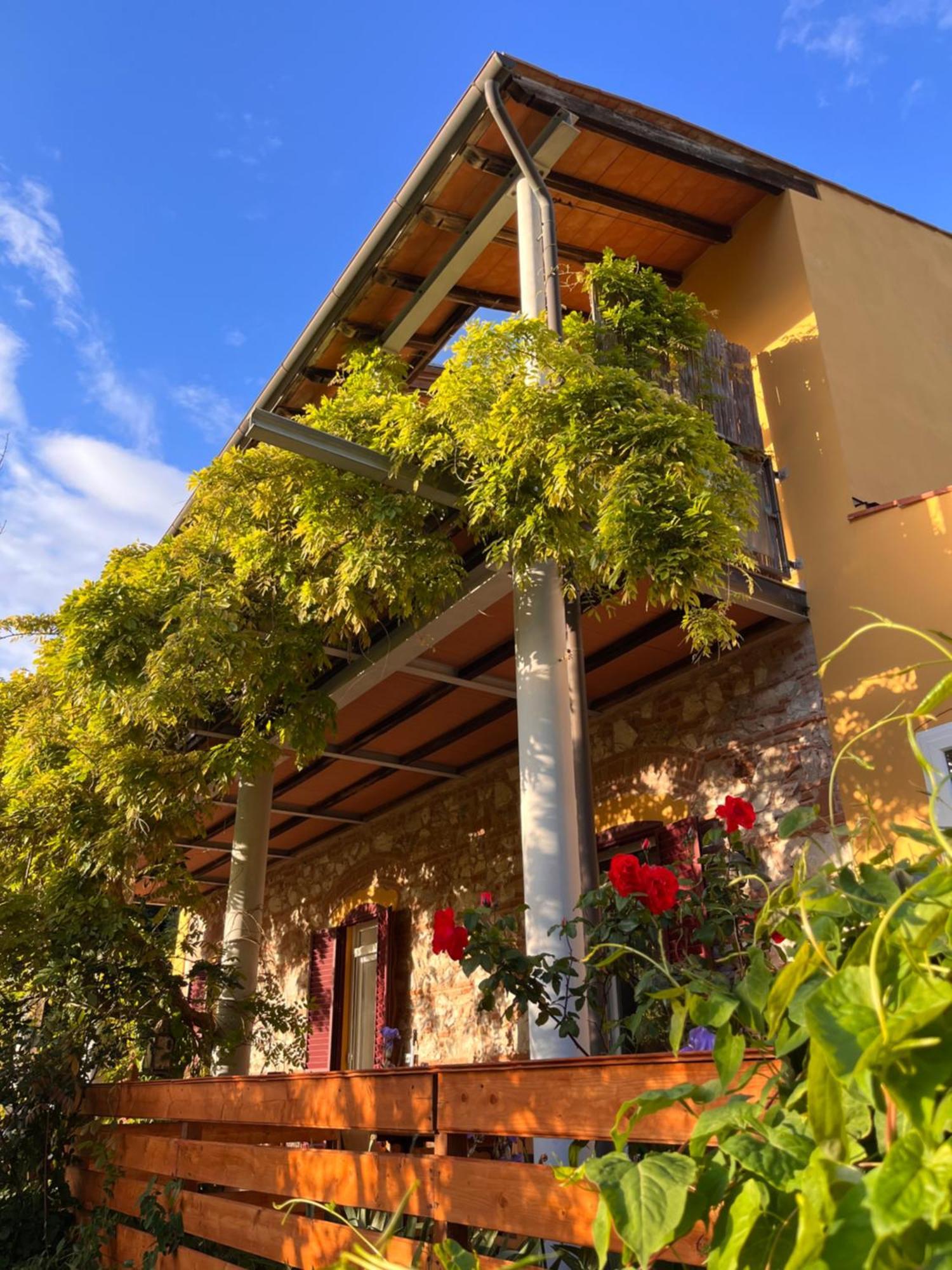 B&B La Fucinaia Pet Friendly Adults Only Campiglia Marittima Kültér fotó