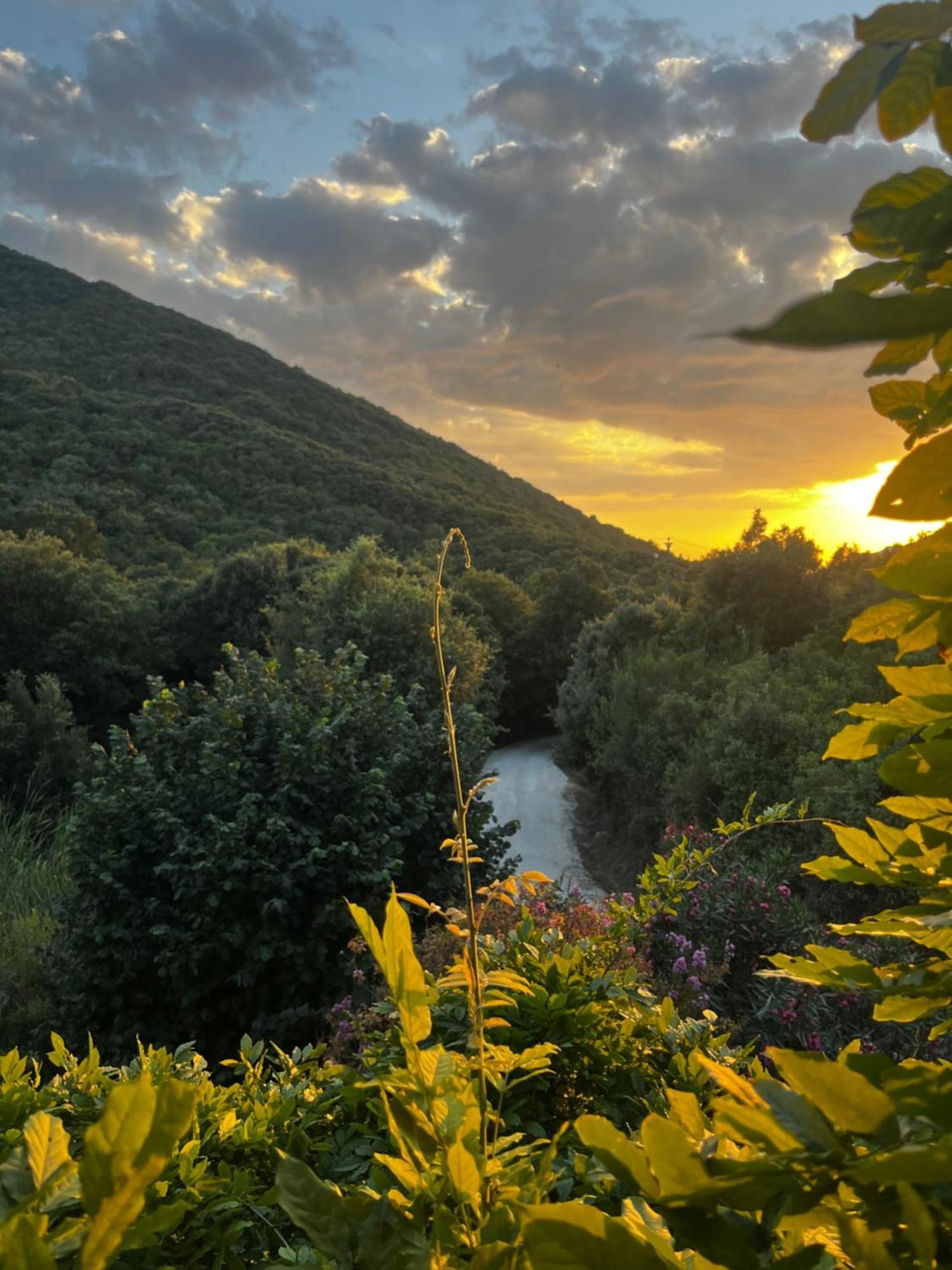 B&B La Fucinaia Pet Friendly Adults Only Campiglia Marittima Kültér fotó