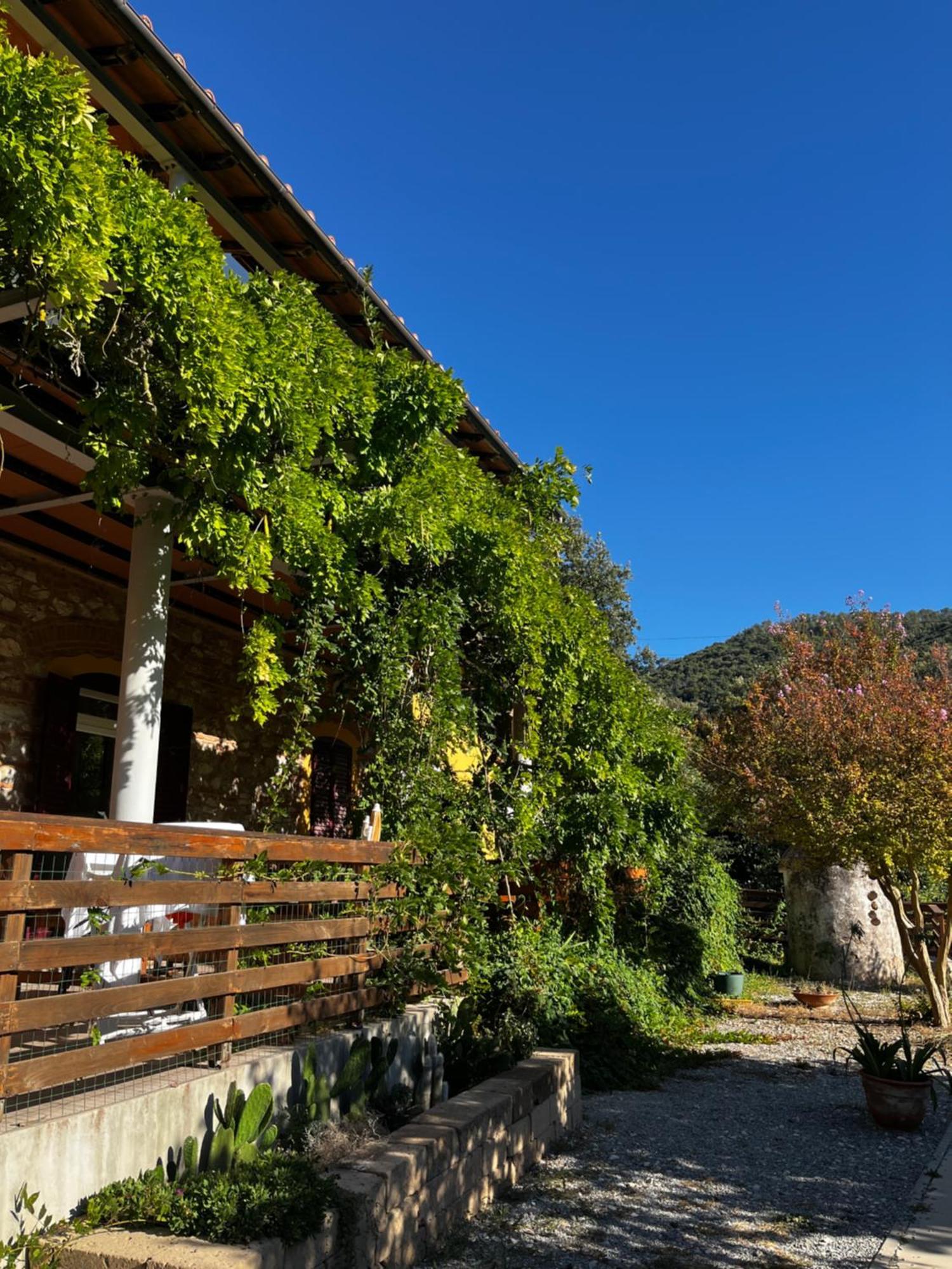 B&B La Fucinaia Pet Friendly Adults Only Campiglia Marittima Kültér fotó