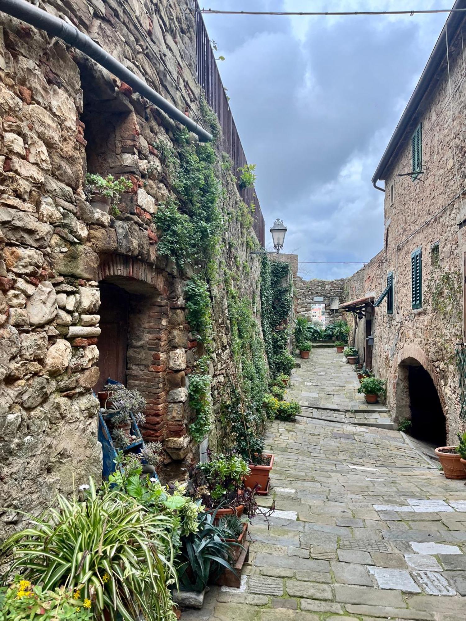 B&B La Fucinaia Pet Friendly Adults Only Campiglia Marittima Kültér fotó