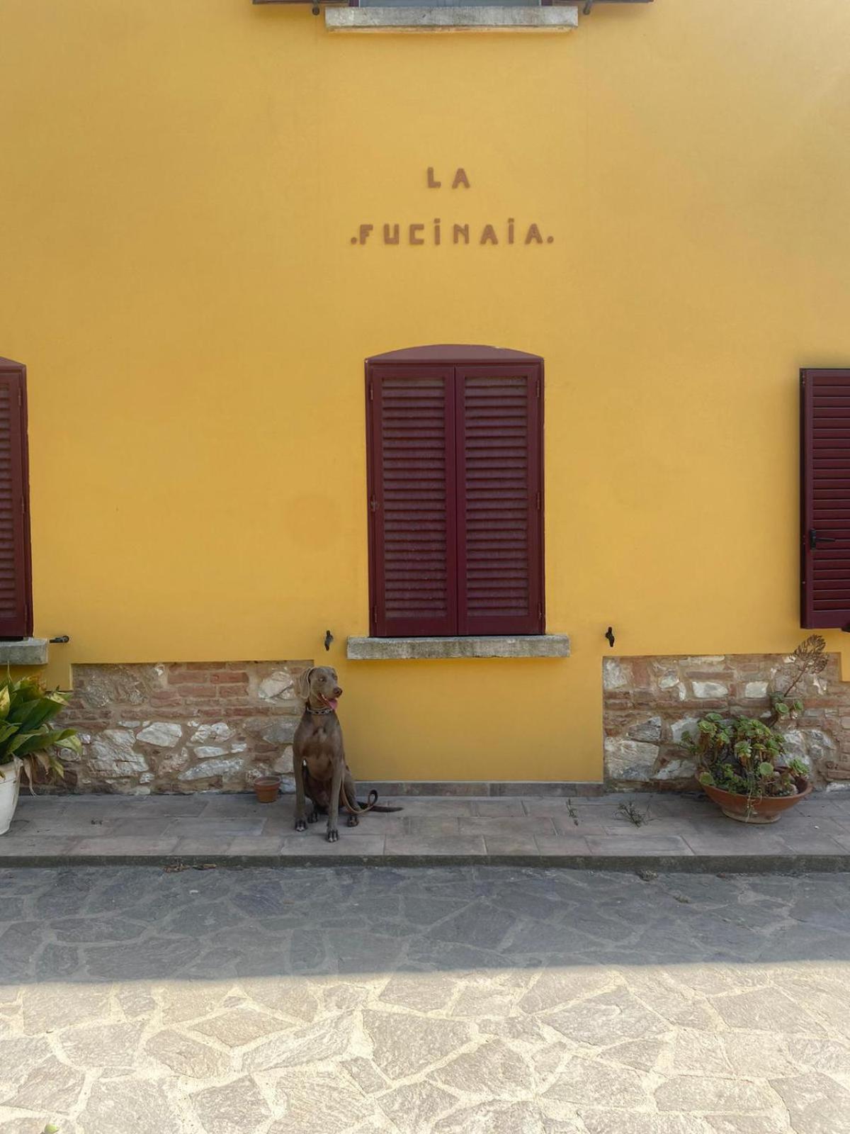 B&B La Fucinaia Pet Friendly Adults Only Campiglia Marittima Kültér fotó